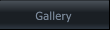 Gallery Gallery