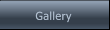 Gallery Gallery